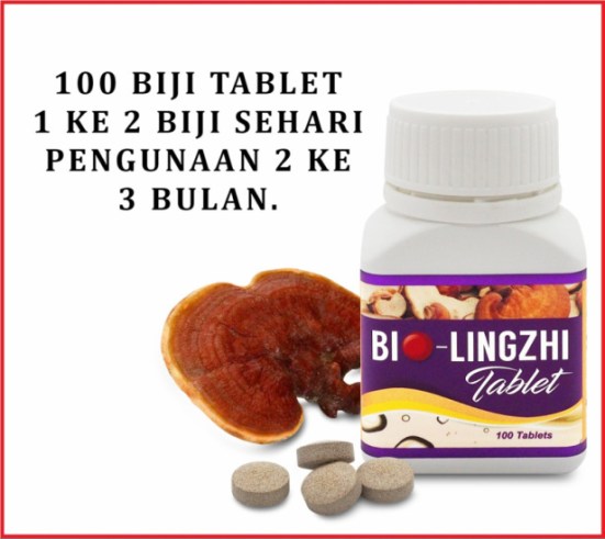 tablet-lingzhi