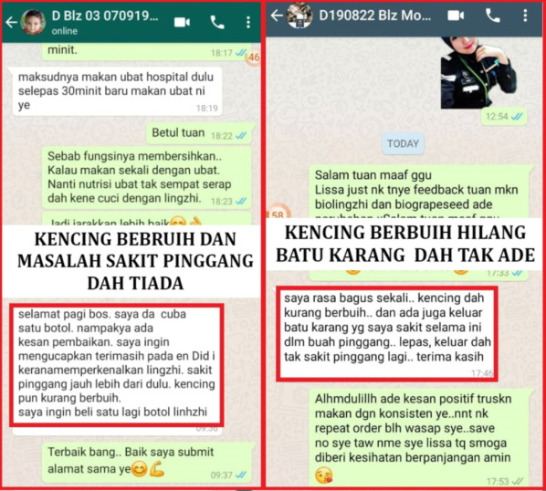 testimoni-buah-pinggang-03