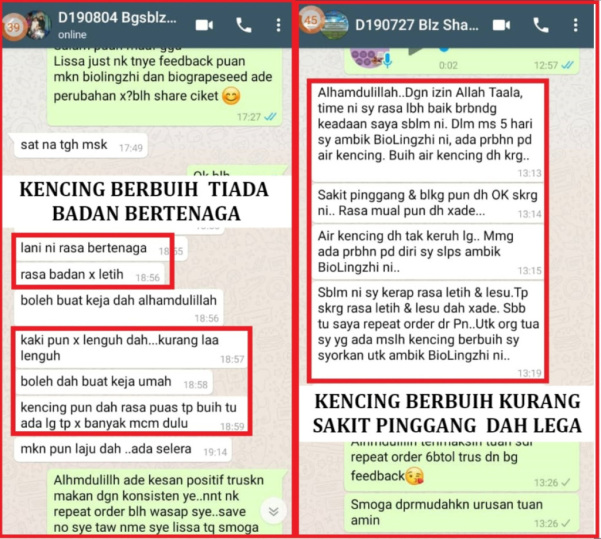 testimoni-buah-pinggang-04