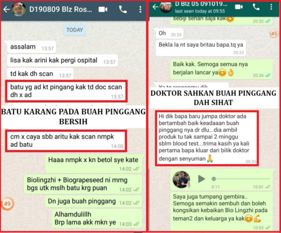 testimoni-buah-pinggang-06